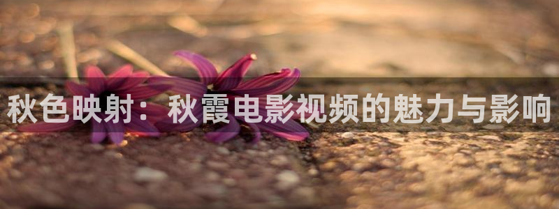 草草影院欧美第一页